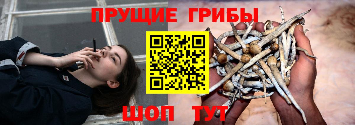 Псилоцибиновые грибы Psilocybine cubensis  Вход с VPN  Псилоцибиновые грибы MAGIC MUSHROOMS  Гурьевск 